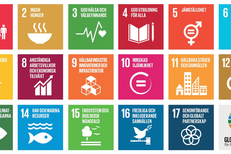 FN:s hållbarhetsmål